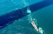 Saltstraumen Arctic Adventure and Scenic Journey