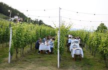 Guided Walk and Lunch in the Vineyard in Alba