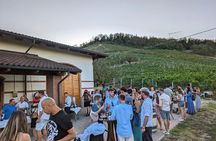 Guided Walk and Lunch in the Vineyard in Alba