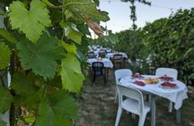 Guided Walk and Lunch in the Vineyard in Alba
