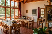 Classic Wine Tasting in Montalcino