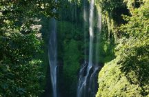 North Bali Sekumpul Waterfall, Banyumala Waterfall & Temple Tour