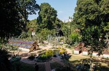 Jeep'n'Green: Rio Botanical Garden and Tijuca Rainforest Tour