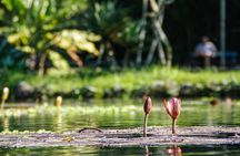 Jeep'n'Green: Rio Botanical Garden and Tijuca Rainforest Tour