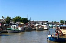 Private Day trip from Buenos Aires to the Tigre Delta