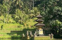 Full Day Bali Scooter Tour