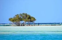 Marsa Mubarak Epic Snorkeling Adventure Lunch & More – Marsa Alam