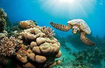 Marsa Mubarak Epic Snorkeling Adventure Lunch & More – Marsa Alam