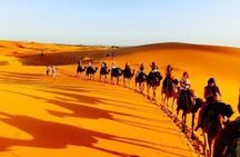 3 Days Luxury Camp Merzouga Camel Sandboarding from Fes back fes