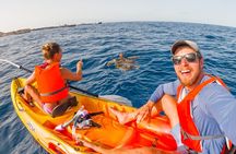 Kayaking and Snorkeling Adventure in Tenerife - Small Groups