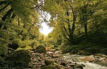 Lagodekhi - A day hiking from Tbilisi