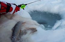 Sjursnes Arctic Ice Fishing Adventure from Tromso