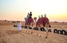 Morning Desert Safari with Camel Riding and Sand boarding 