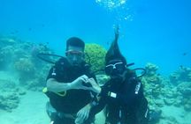 Dibba Musandam Excursions 