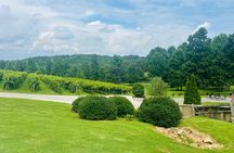 Elijay Three Vineyards Private Wine Tasting Tour from Atlanta