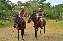Rainforest Horseback Riding and Boat. Puntarenas Shore Excursion