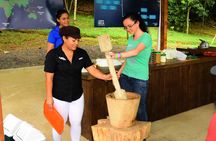 Chocolate Tour & Crocodile Safari. Puntarenas shore excursion