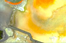 Auckland: Wai O Tapu, WAIKITE Hotpools & HUKA FALLS River Cruise