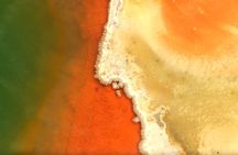 Auckland: WAI O TAPU Rotorua, Polynesian Spa & Blue Springs Tour