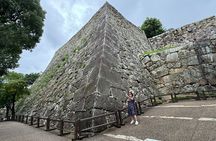 Discover Every Bit of Himeji Castle - World Heritage near Osaka