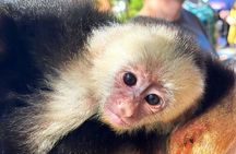 Sloth and Monkey Sanctuary Excursion in Roatan