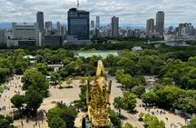 Cherry Blossoms Cruise and Osaka Castle Spring Tour
