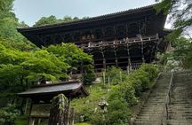 Himeji: Private Guided Tour of Himeji Castle and Engyoji Temple 