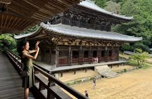 Himeji: Private Guided Tour of Himeji Castle and Engyoji Temple 