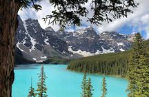 From Banff: Lake Louise, Lake Minnewanka, and Johnston Canyon