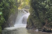 Tour to Mindo, Private and Shared 