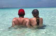 Full day Dolphin tour, Nungwi and Kendwa Beach Tour with Lunch
