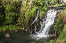 Private VIP Guided Auckland Waterfalls Tour