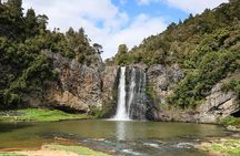 Private VIP Guided Auckland Waterfalls Tour