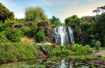 Private VIP Guided Auckland Waterfalls Tour