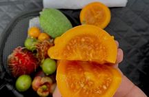 Bogota: Panoramic tour with Sky-High Picnic &Certified Tour Guide