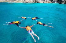 Guided Snorkeling and Island Exploration in Auckland