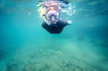 Guided Snorkeling and Island Exploration in Auckland