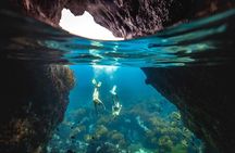 Guided Snorkeling and Island Exploration in Auckland