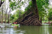 Stung Treng Canoeing In Mekong River 