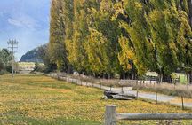 Full Day Sightseeing Tour To Discover Queenstown's Scenic Wonder 