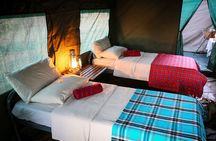 Luxury en suite Camping 3 Days 2 Nights Chobe Park