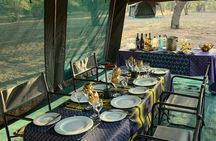 Luxury en suite Camping 3 Days 2 Nights Chobe Park