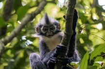 2 Days Ethical Jungle Trek in Sumatra