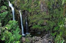 Private Road to Hana Rainforest & Waterfall Experience from Maui 