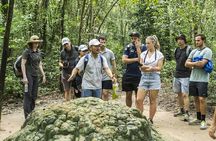 12 Days in Vietnam | Culture and Adventure | Best 2025-26
