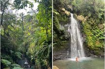 Monkey Forest Ubud Half day Tour