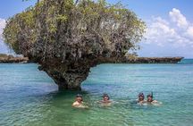 Safari Blue, Full Day Adventure with Delicious Lunch - Zanzibar