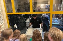 Pizza cooking class in real Pizzeria with Pizza chef & Tour guide