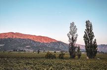 3 Days Vintage Motorbike Tour in the Heart of Chile