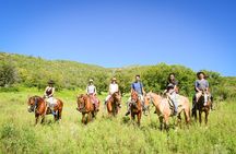 Wine & Horses, Wine Tour en Córdoba -Argentina